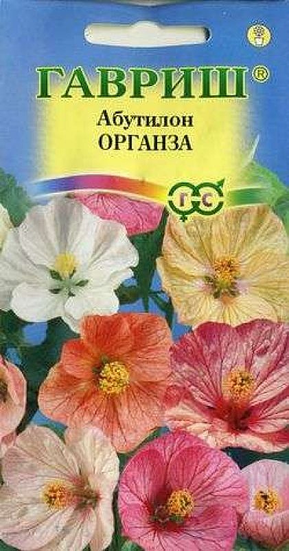 Ц Абутилон Органза смесь  Гавриш