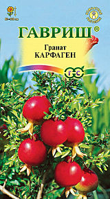 Ц Гранат карлик Карфаген Гавриш