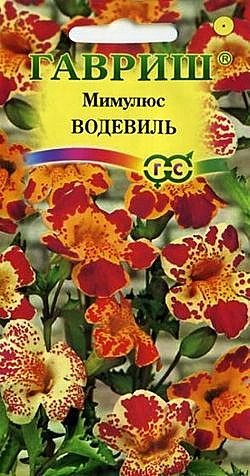 Ц Мимулюс (Губастик) Водевиль Гавриш