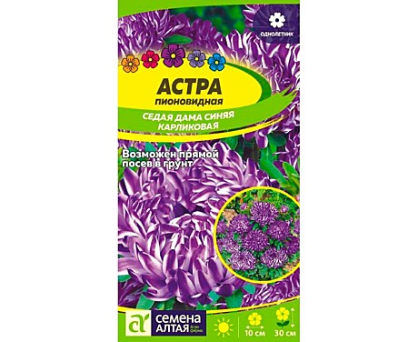 Ц А Седая дама синяя карликовая Семена Алтая