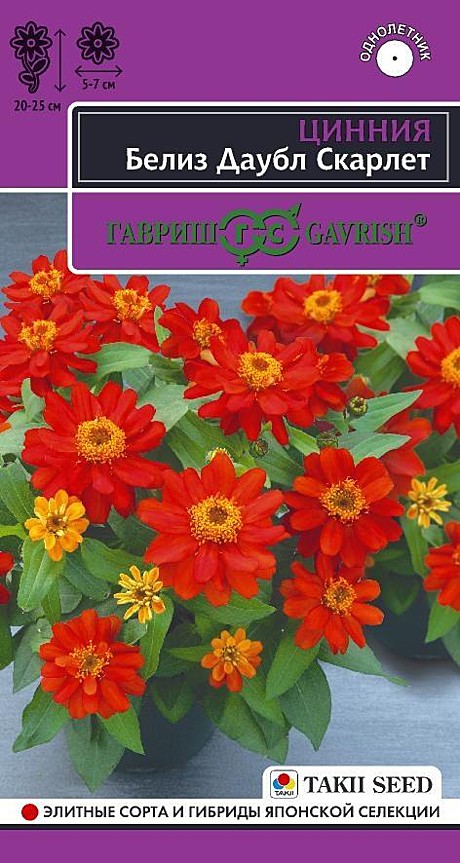 Ц Цинния Белиз даубл скарлет Гавриш