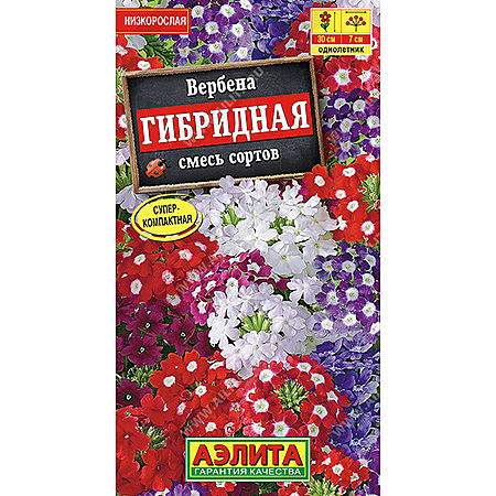 Ц Вербена гибридная смесь Аэлита