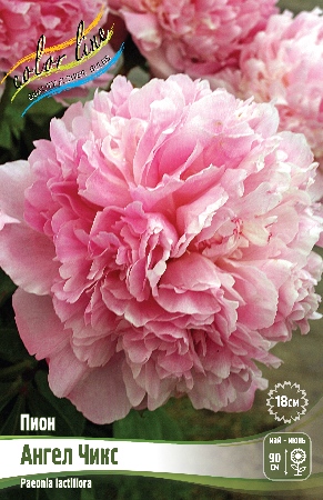 Изображение товара