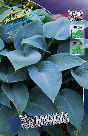 Изображение товара