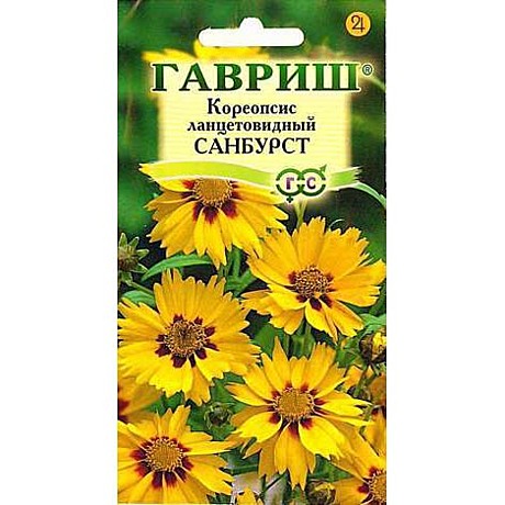 Ц Кореопсис Санбурст Гавриш