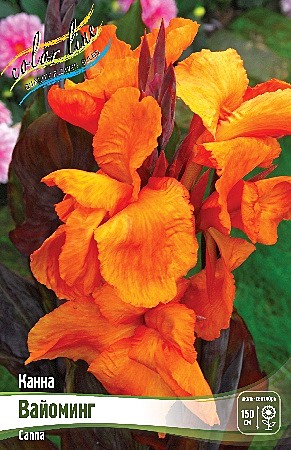 4421 Канна Вайоминг 1шт