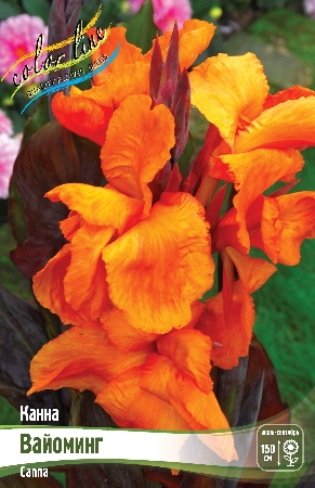 Изображение товара