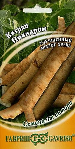 Ф Катран Пикадром Гавриш