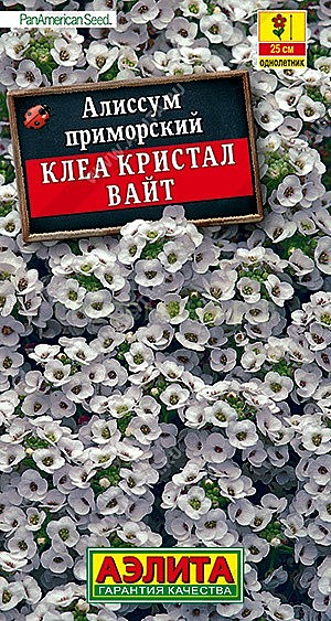 Ц Алиссум Клеа Кристал вайт  Аэлита
