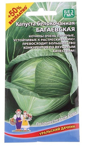 К Багаевская УД