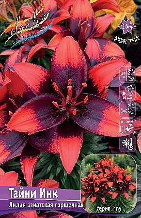 2706 Лилия Тайни Инк аз 7 шт/1шт