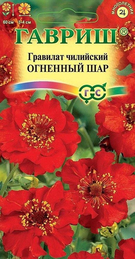 Ц Гравилат Огенный шар Гавриш