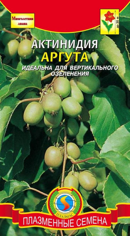 Алиссум Кристалл смесь СемАлт