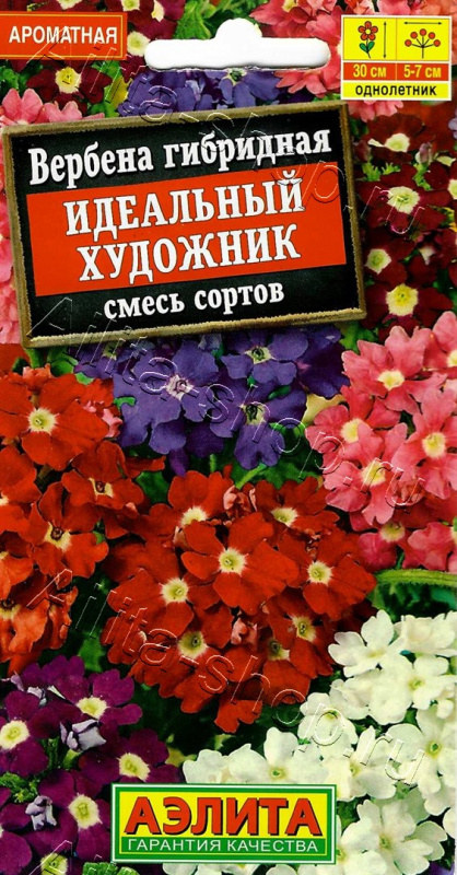 Вербена Идеальный художник смесь 40шт Аэлита