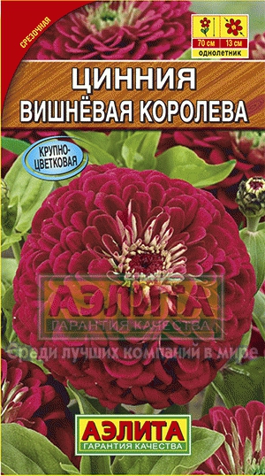 Цинния Вишневая Королева 0,3г Аэлита