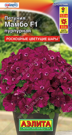 Петуния Мамбо пурпурная многоцветковая 7шт  Аэлита