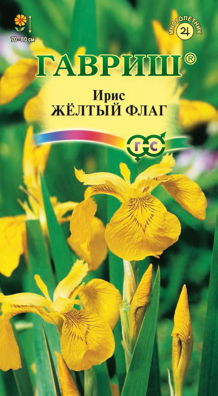 Ирис болотный Желтый флаг 3шт Гавриш