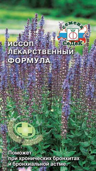 Иссоп Формула 0,2г Седек