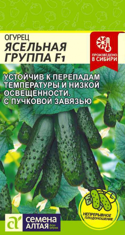 Огурец Ясельная Группа 5шт Семена Алтая