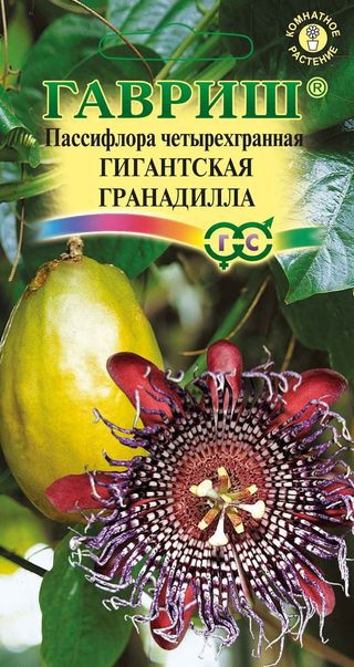 Пассифлора Гигантская 3шт Гавриш