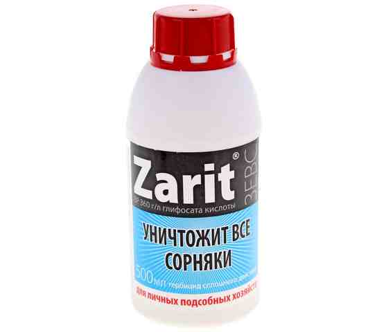 Зарит Санти 500мл /12/