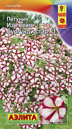 Петуния Изи Вэйв бургунди стар 4шт Аэлита