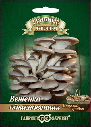 Вешенка Обыкновенная на древесн. палочке 12шт Гавриш