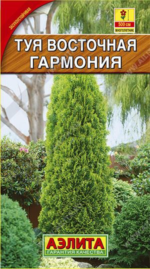 Туя Гармония восточная 8шт Аэлита